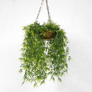 Plants